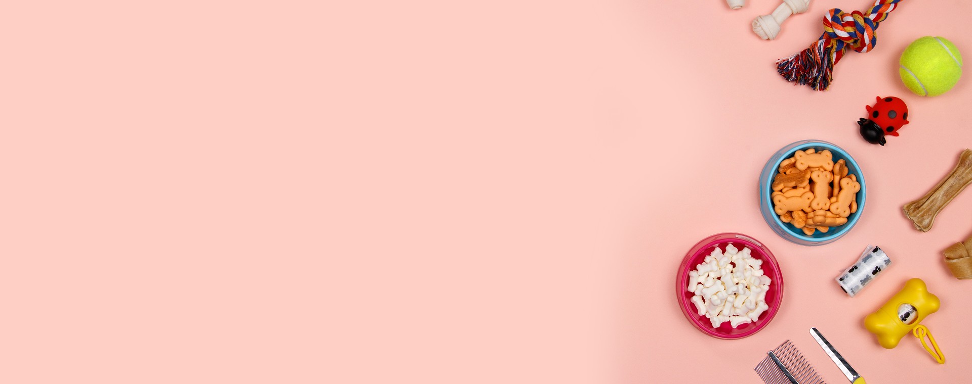 Everything Your Pet Deserves – All in One Place!